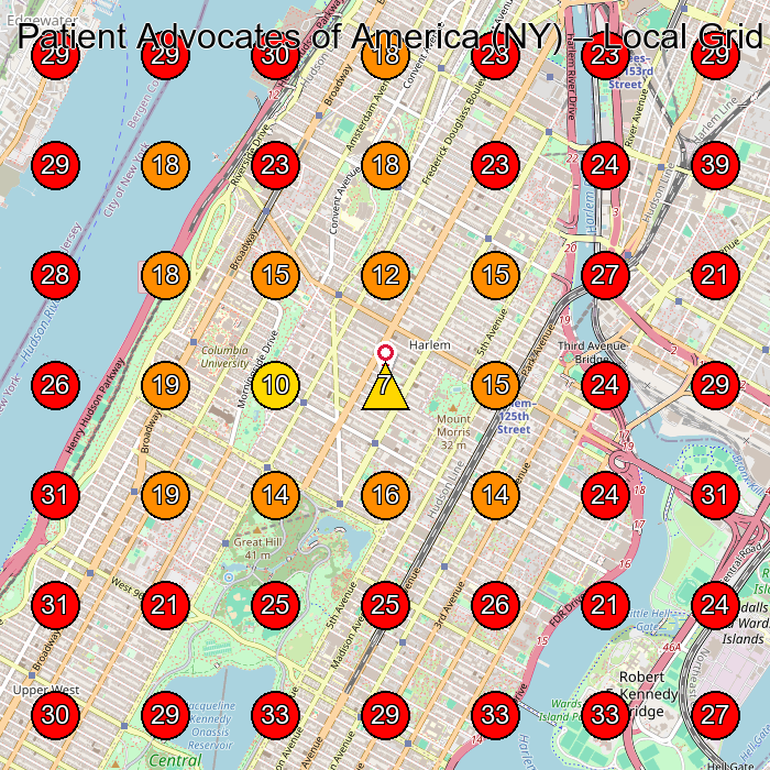 Patient Advocates of America (NY) GeoGrid visibility map for Homeopath in New York